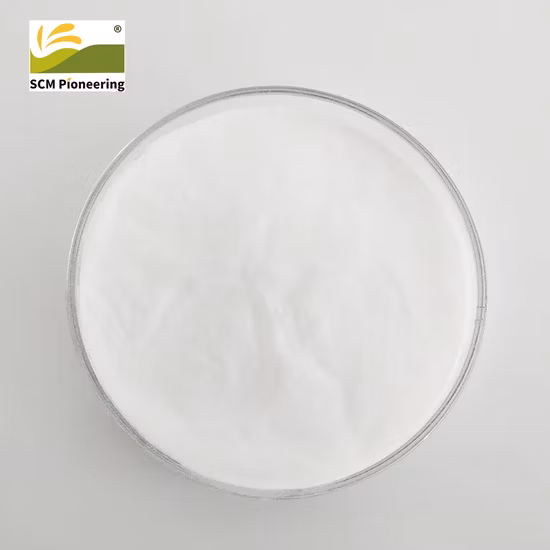 工場用食品添加物ベータシクロデキストリン 7585-39-9